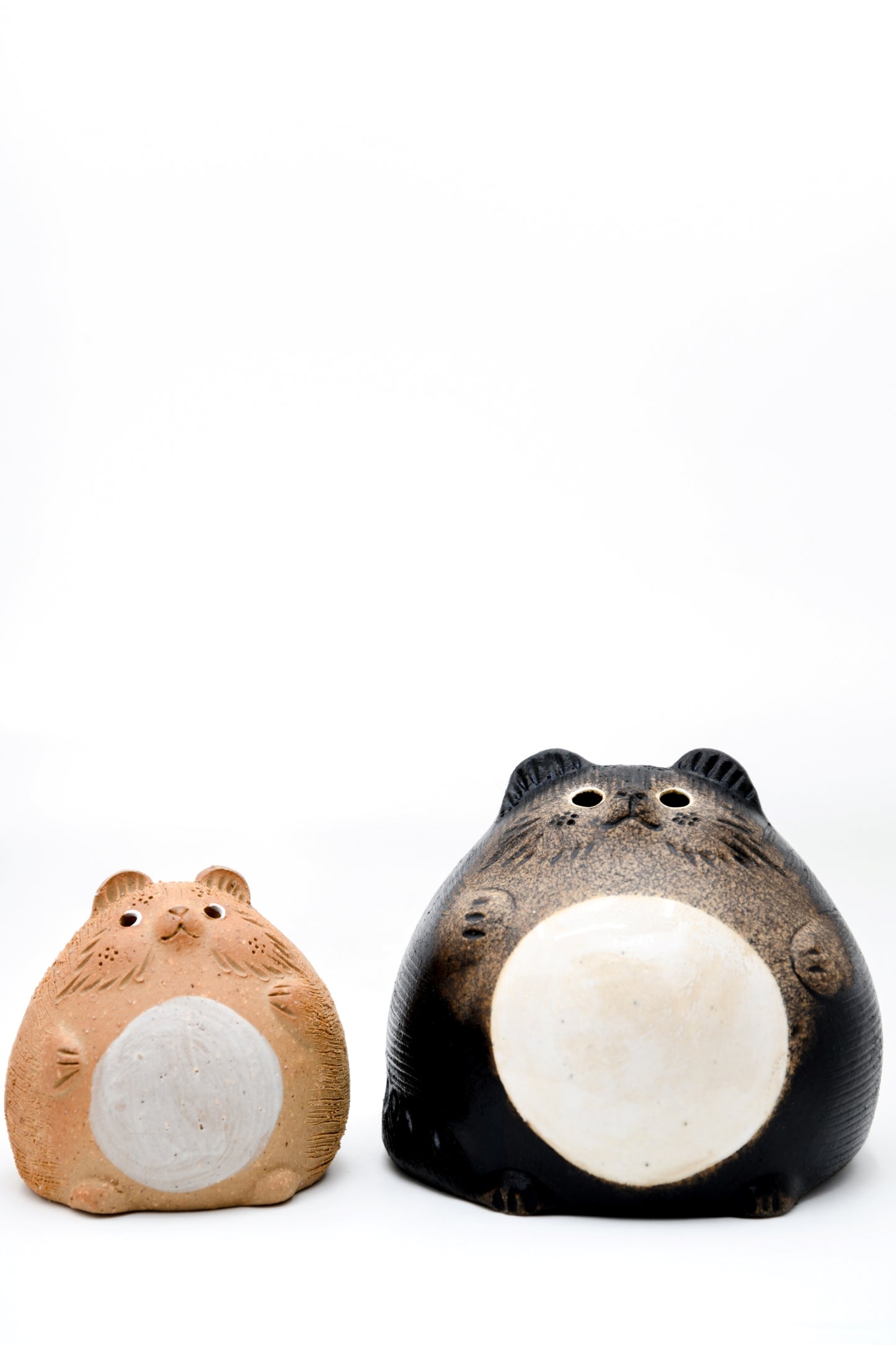 Tanuki 9